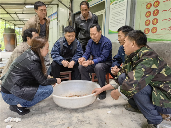 圖片關鍵詞 圖片關鍵詞
