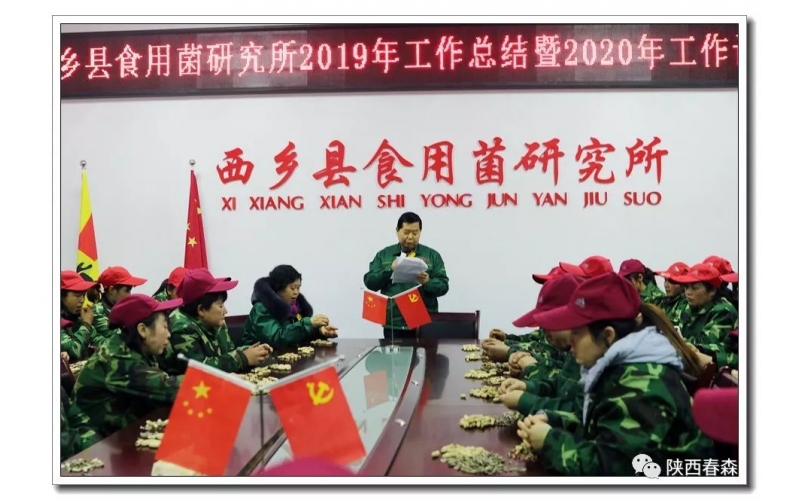 2019春森菌業(yè)年產(chǎn)菌種超過300萬袋（瓶），擴建近40畝，經(jīng)營再創(chuàng)歷史新高