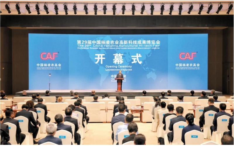 《漢中市科學(xué)技術(shù)局網(wǎng)站》：漢中喜獲第29屆農(nóng)高會“后稷特別獎”和“后稷獎”18項