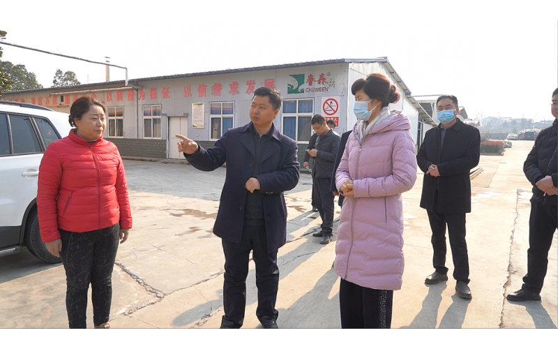 西鄉(xiāng)縣委副書記、縣長王亞珍調(diào)研農(nóng)業(yè)產(chǎn)業(yè)發(fā)展工作